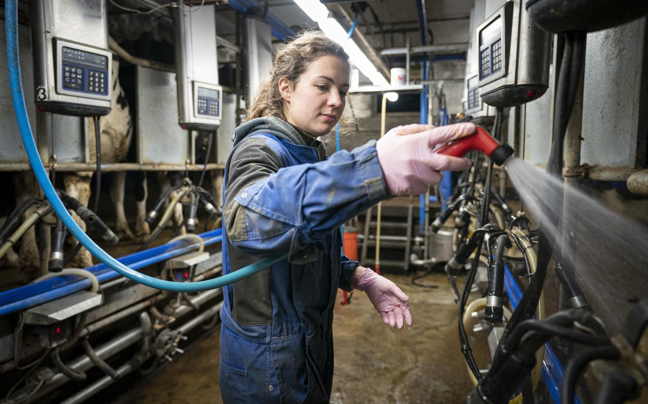 Boerin Annemiek Koekoek Uit Tynaarlo Wint Vrouw In De Media Award 2021