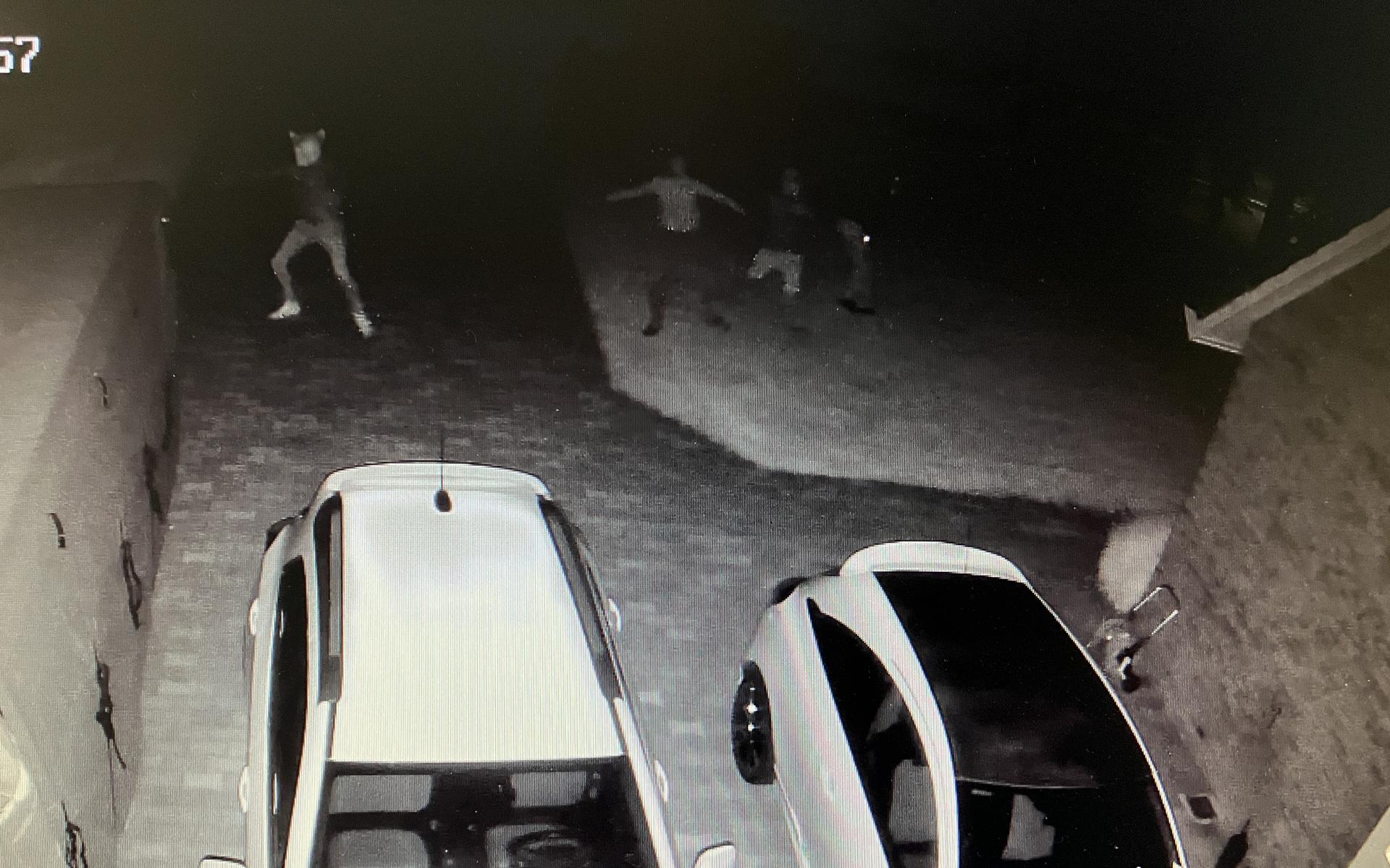 Jongeren smijten stenen tegen gevel van woning aan Schutwijk in Elim. Auto's en gevel raken beschadi