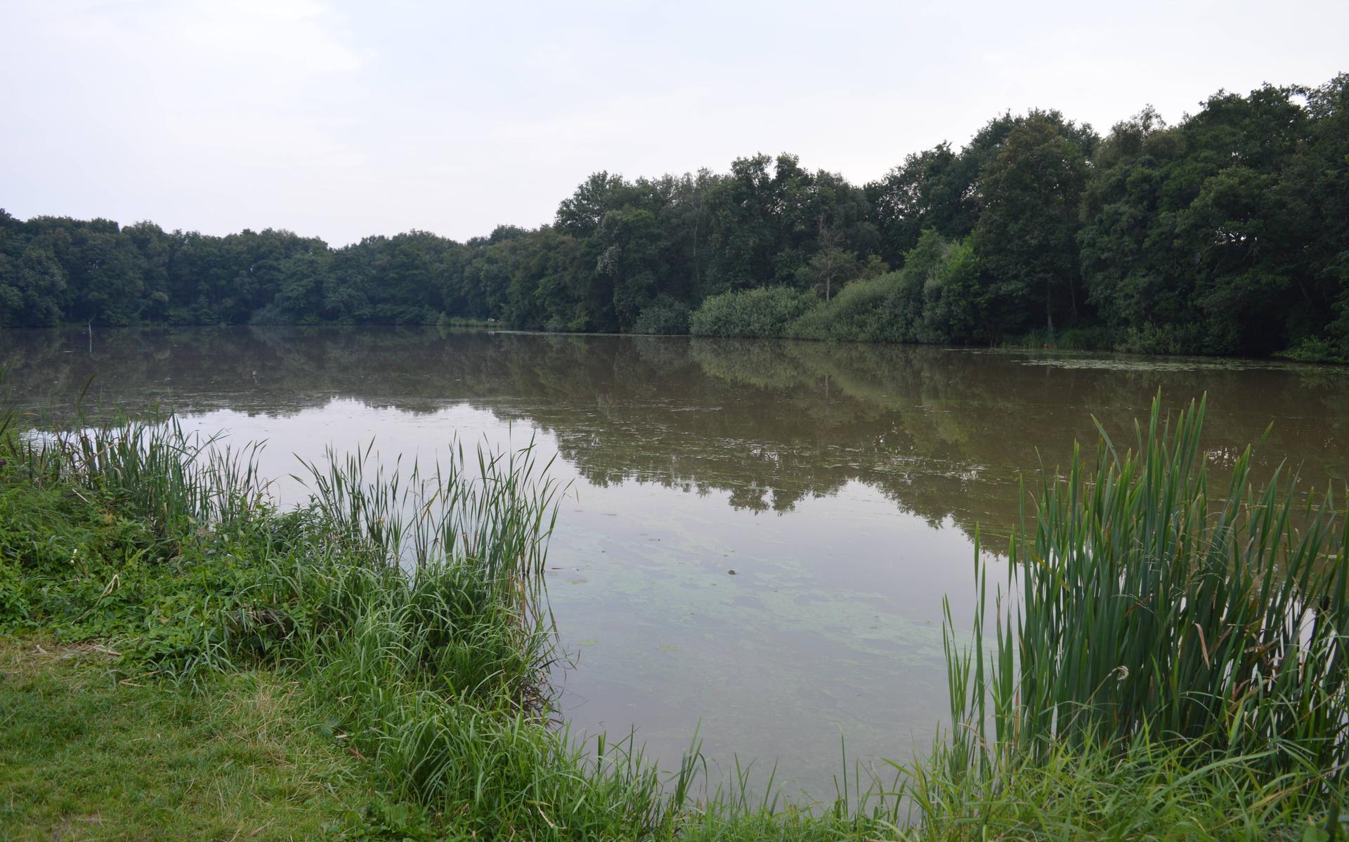 Onderzoek naar mogelijke pingoruïnes in de omgeving van Koekange: misschien is het Sultansmeer er oo