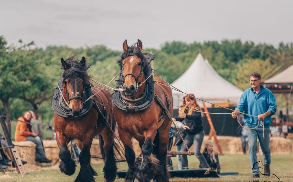 Het evenement biedt shows met paarden, honden, schapen en traditionele ambachten.