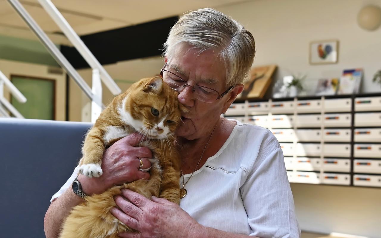 Berta de Jonge-Kombrink heeft vriendschap gesloten met deze kater. Berta de Jonge-Kombrink heeft vriendschap gesloten met deze kater.