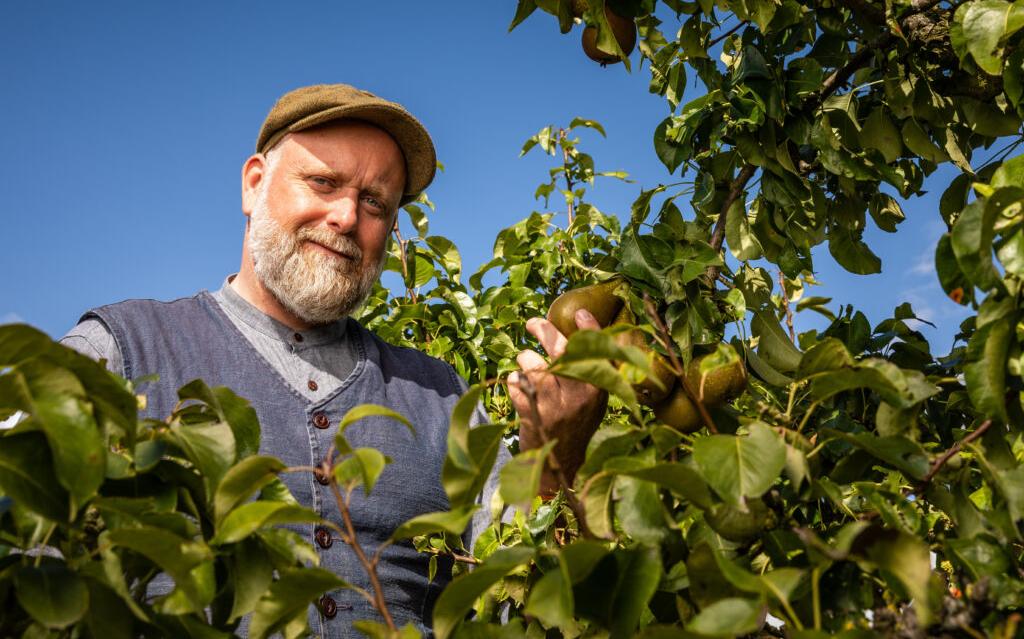 Stroopstokerij meneer Appel komt opnieuw naar Dwingeloo: 'We kunnen nog wel fruit gebruiken'
