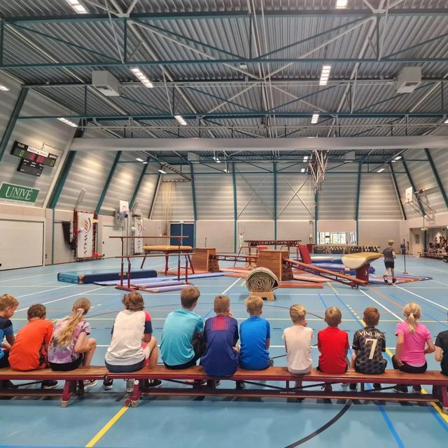 Zorgen bij Gymnastiekvereniging WGV uit de Wijk: club wordt opgeheven zonder nieuwe bestuursleden