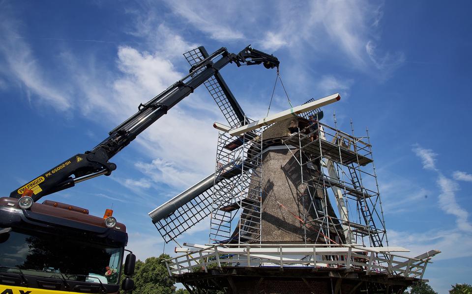 Met veel precisie worden de spruiten naar boven getild.