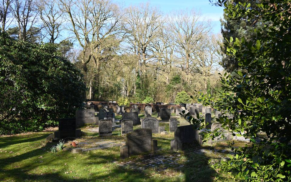 De begraafplaats van Zuidwolde is een rijk gebied vol flora, fauna, paddenstoelen en korstmossen.