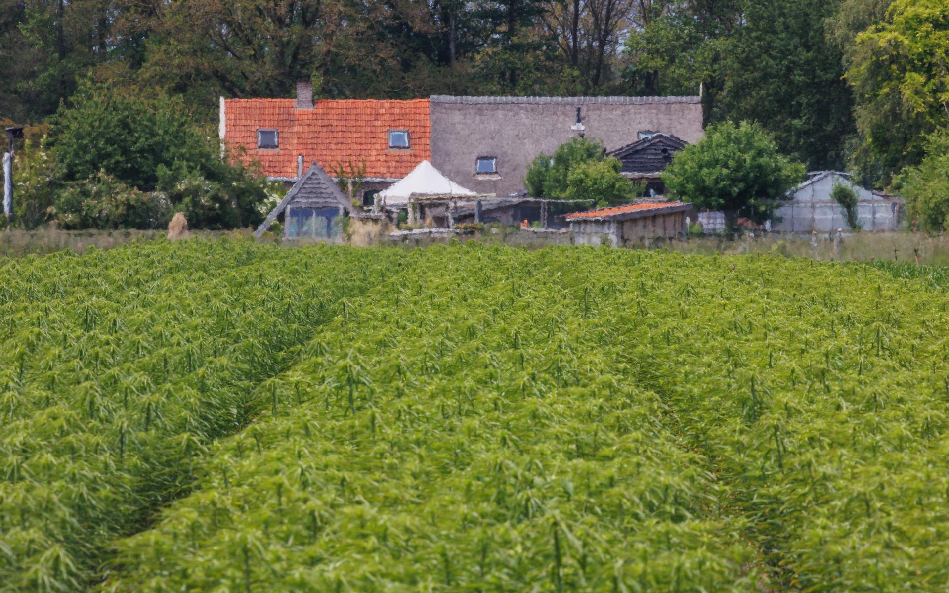 Lelieteler Joling uit Boterveen: 'Als de buren zo bezorgd zijn, waarom