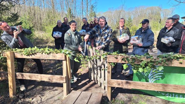 Nieuw plankenpad houdt Albertaplas in Drents Friese Wold toegankelijk voor wandelaars