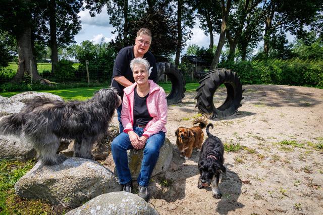 Open Dag bij Hondencentrum De Natte Neuzen Hoeve in Ruinerwold