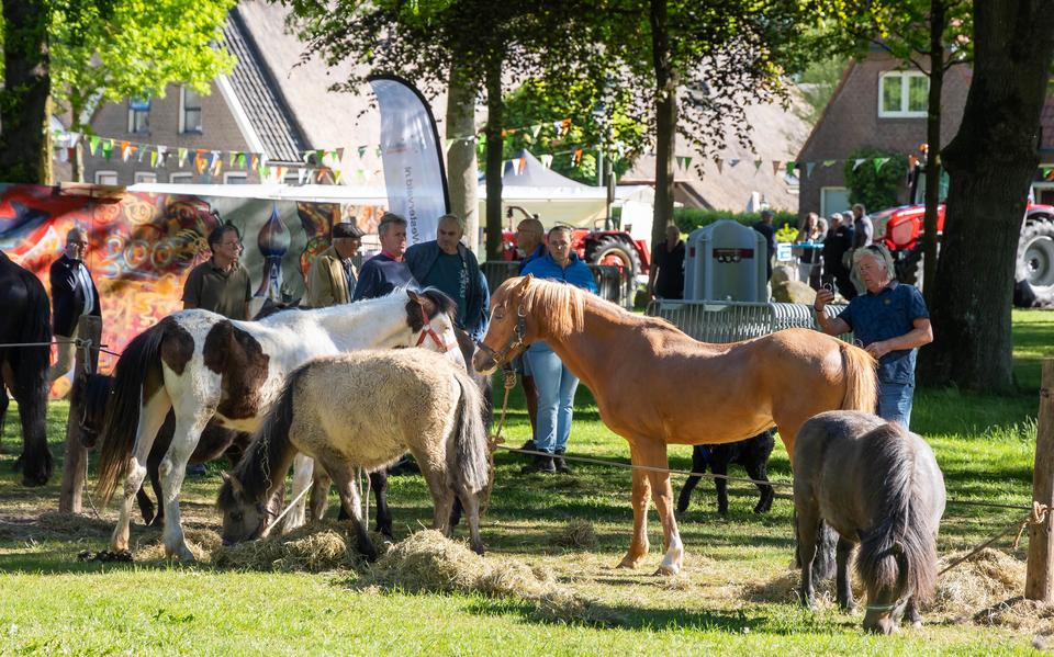 De paarden waren weer terug op de 300ste Dwingelermarkt.