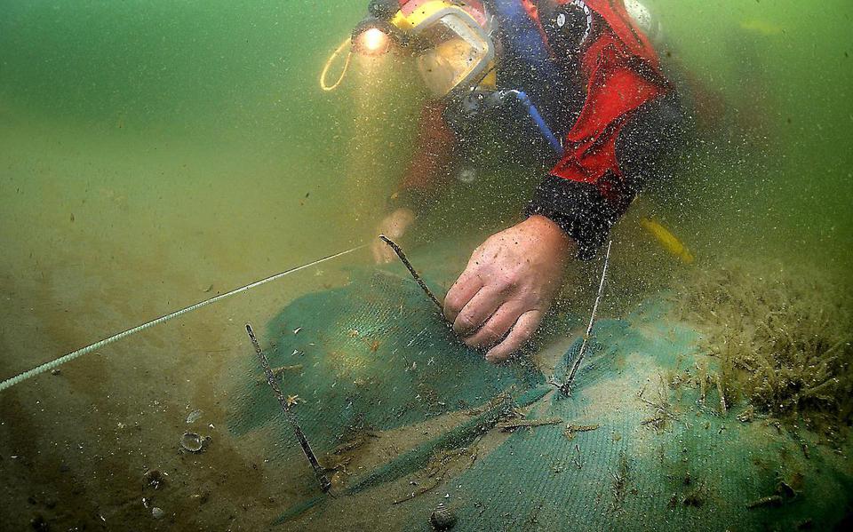 Een maritiem archeoloog aan het werk bij het Palmhoutwrak.