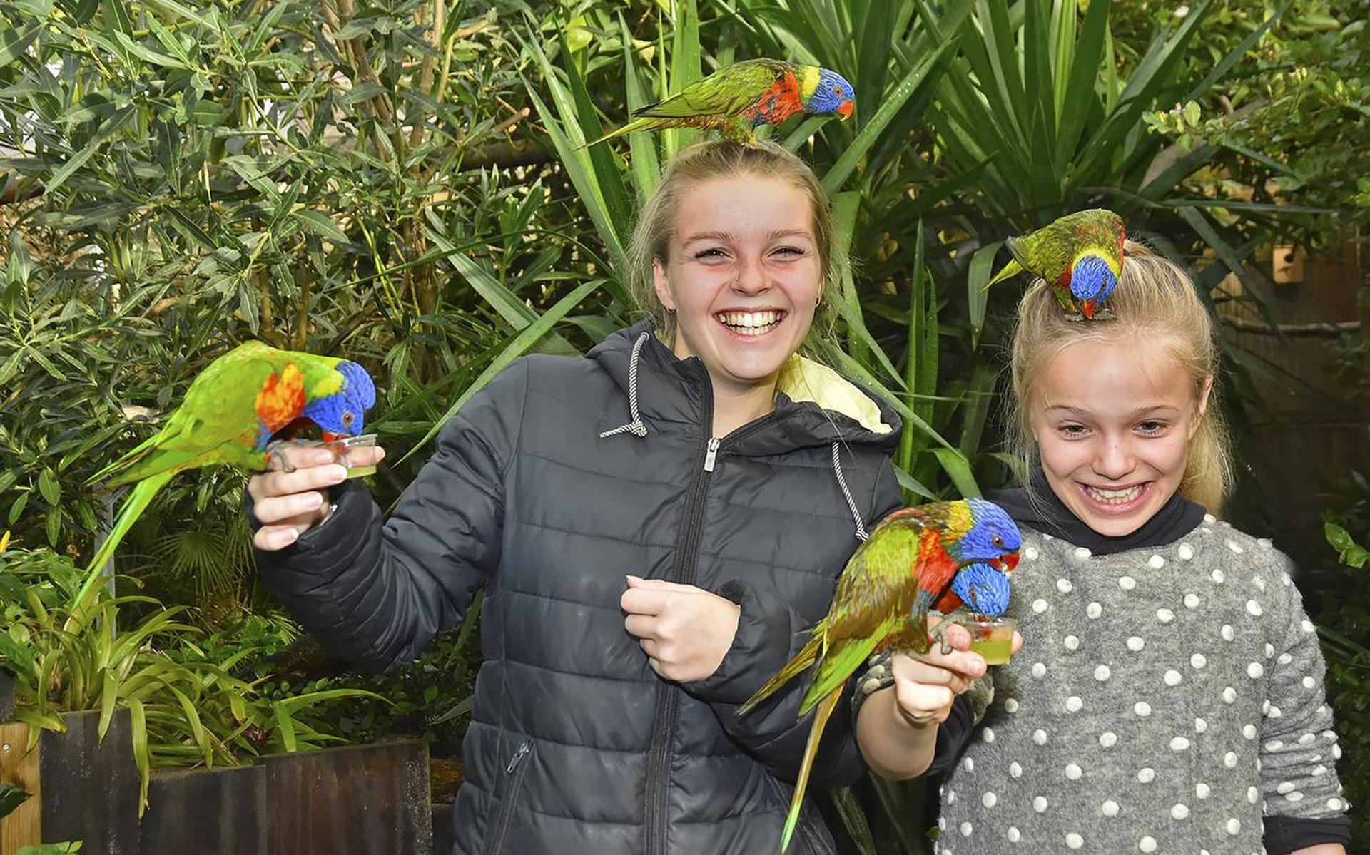 Kinderen vermaken zich met parkieten in Texel Zoo.