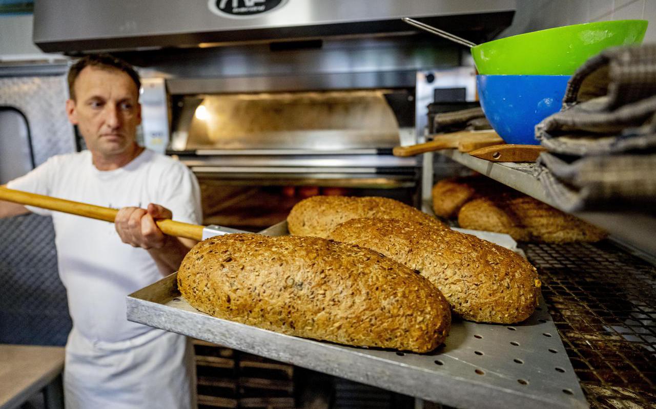 De broodprijs bij ambachtelijke bakkers en op de markt is gemiddeld 9,1 procent gestegen  