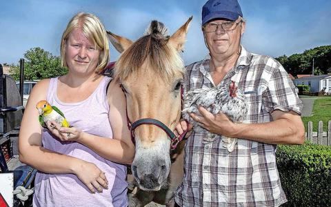 Marjolein Knopper geniet met haar paard, papegaaien en een kip op de camping in Drenthe. Vader Dirk helpt een handje.