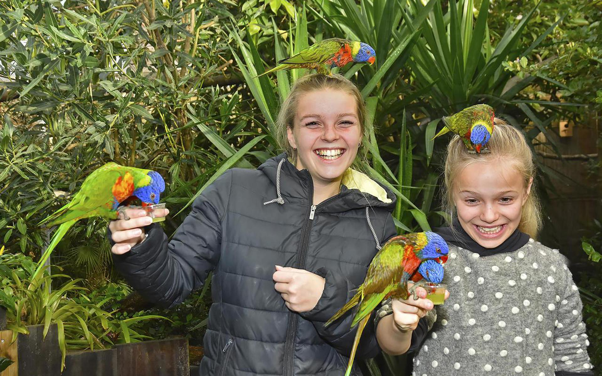 Kinderen vermaken zich met parkieten in Texel Zoo.