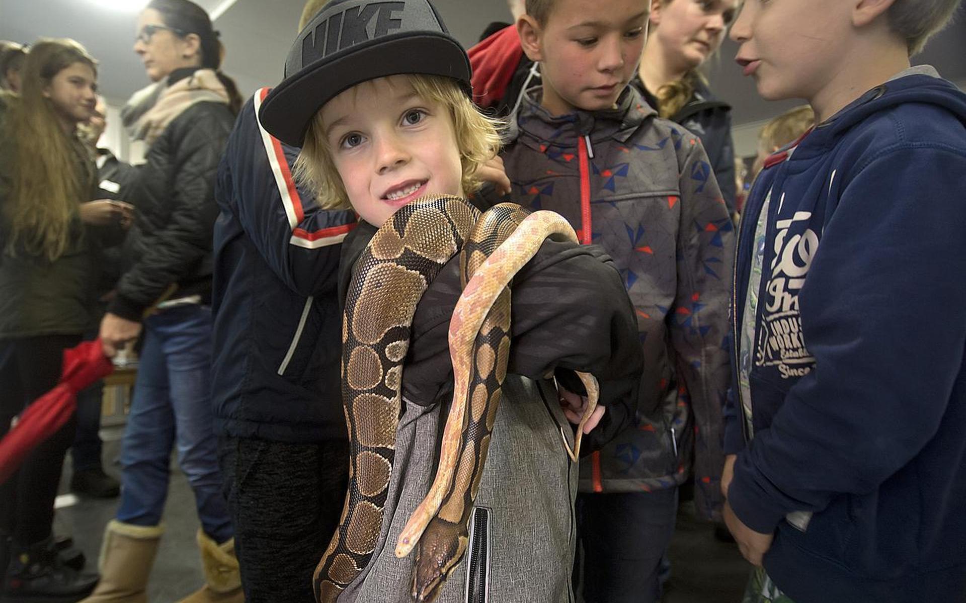 Wat voor kat ik zoek? Een kalme ouwe sukkel die af en toe naar buiten wil - Dagblad van het Noorden