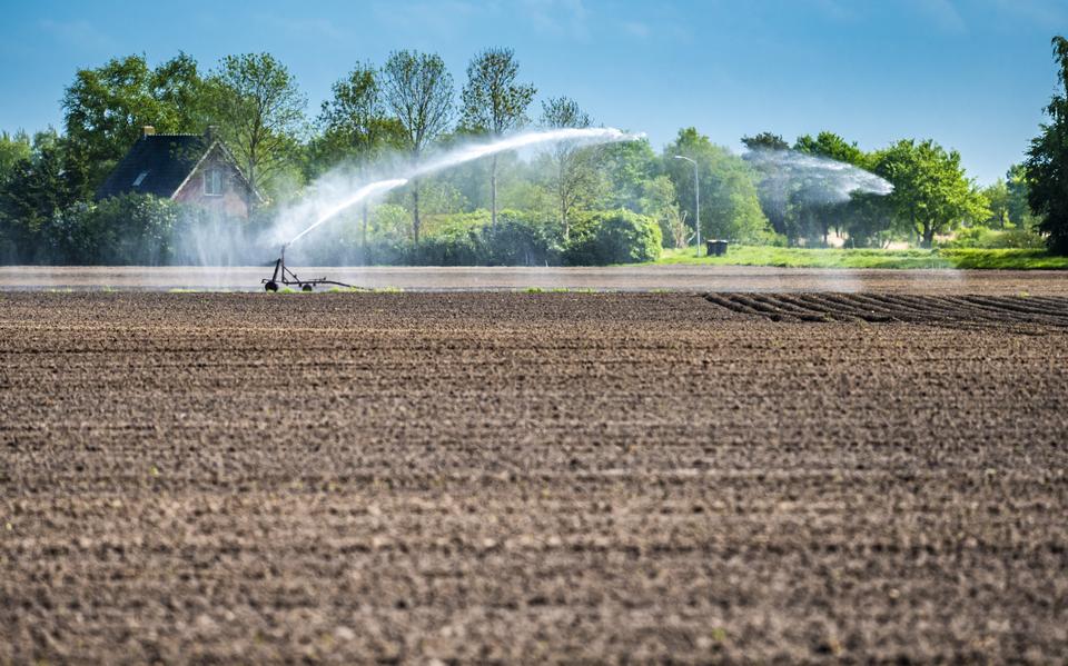 De droogte houdt aan. Akkerbouwers gaan beregenen bij gebrek aan neerslag.