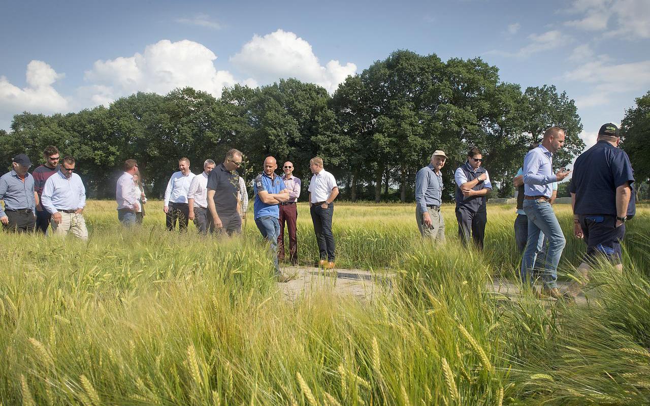Boer Jan Reinier de Jong (tweede van rechts) leidt met regelmaat mensen rond op zijn bedrijf. Op deze foto geeft hij uitleg aan een groep Engelse akkerbouwers.