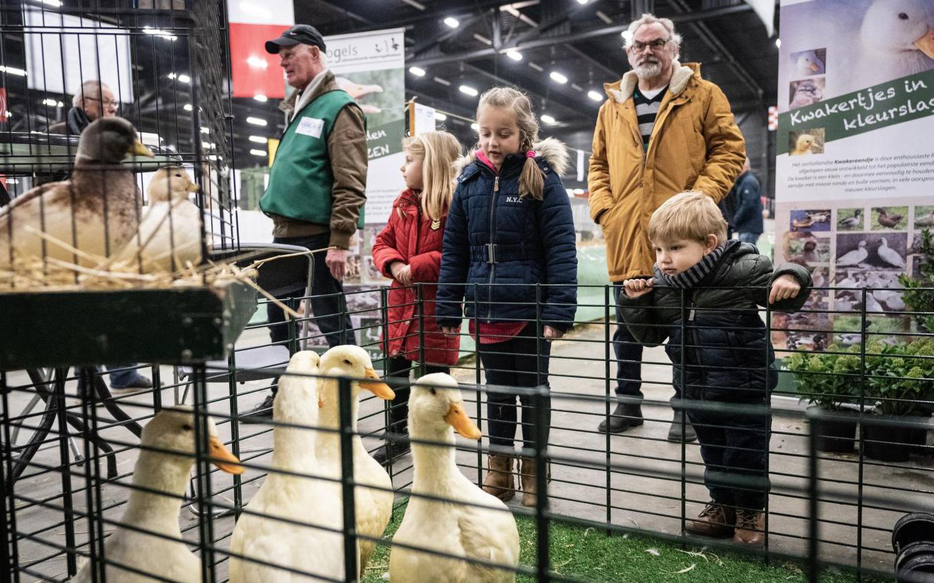 ‘Nog Nooit Zo’n Goede Noordshow Gehad’ - Dagblad Van Het Noorden