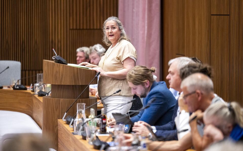 Een buurtbewoonster spreekt de gemeenteraad en het college toe tijdens een raadsvergadering over het azc aan de Schepersmaat.