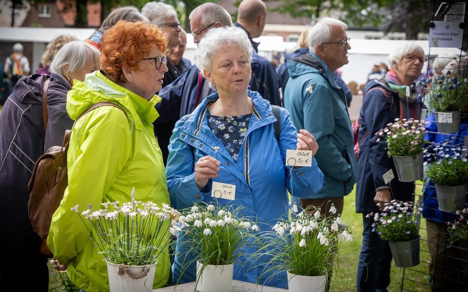De Keramiekbloemen zijn erg in trek tijdens de markt in Dwingeloo.