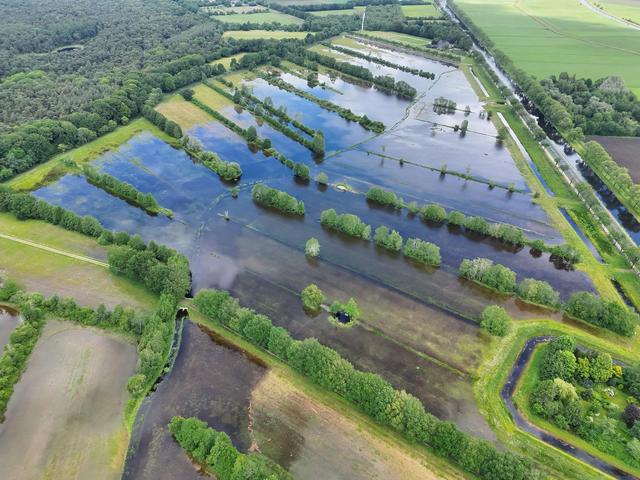 Dieren verdrinken bij overstroming natuurgebied Uffelte door fout. ‘Zo verdrietig. Juist nu...’