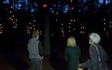 Lichtkunstwerk  Pixi  in bos bij het Boomkroonpad ontwaakt als er mensen met een speciale lantaarn op schijnen. Zijn ze weg, dan dooft het licht.  Foto:  harry tielman