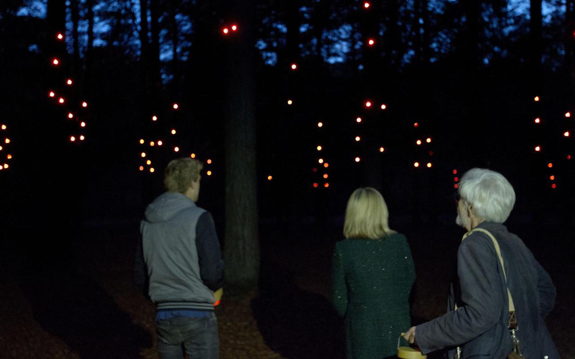 Lichtkunstwerk  Pixi  in bos bij het Boomkroonpad ontwaakt als er mensen met een speciale lantaarn op schijnen. Zijn ze weg, dan dooft het licht.  Foto:  harry tielman