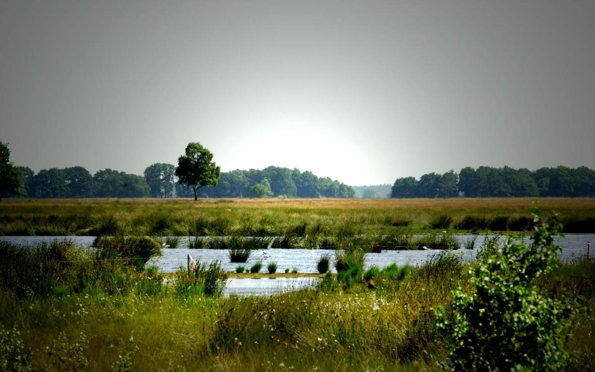 Dwingelderveld stelt paal en perk aan evenementen in natuurgebied