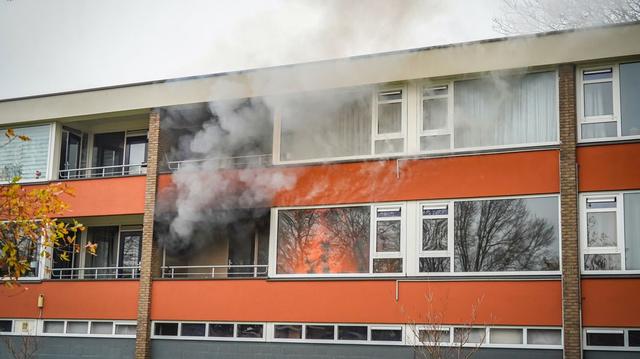 Man (38) uit Emmen vlucht met zijn parkiet en luchtbuks brandende woning uit. 'Daarna geschoten om v