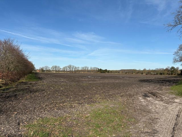 Drentse campings pleiten bij provincie voor duidelijke regels lelieteelt