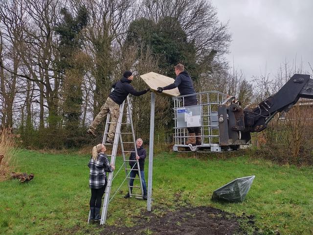 Zwaluwen in Hooghalen krijgen een eigen stek. Twee tillen zorgen voor een geschikte broedplek
