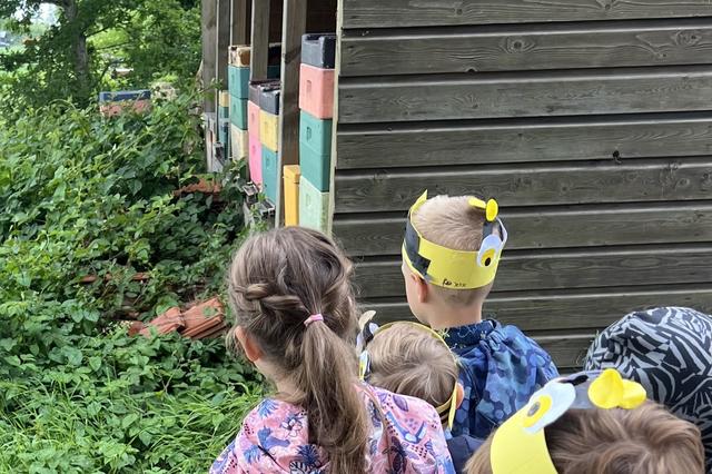 Kleuters van De Wegwijzer verwonderen zich bij imker Geert in Witteveen