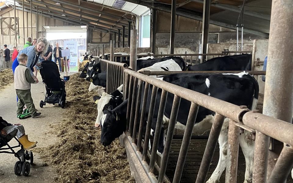 Door de stal richting het buitenterrein voor de kinderactiviteiten en voorlichting.