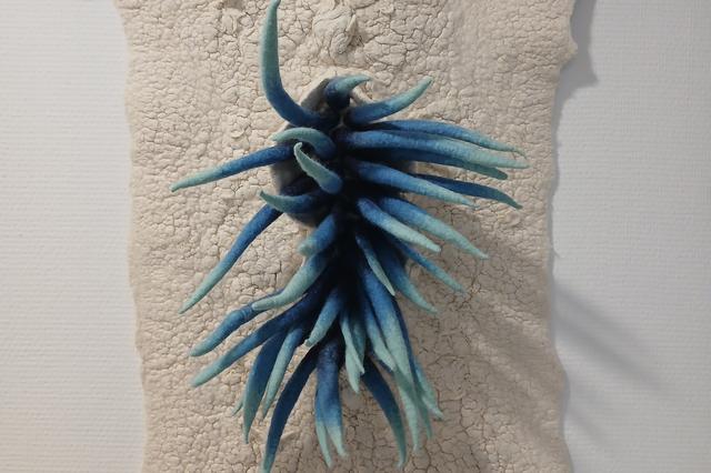 Corina en Peter van der Weerden tonen hun werk in het Huus van de Taol in Beilen