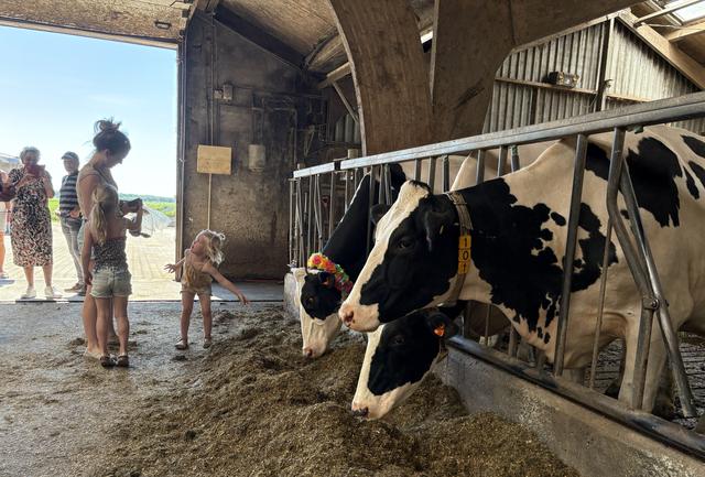 'Het is geweldig!' Boerderijen Fietspuzzeltocht schrijft 1250 deelnemers in