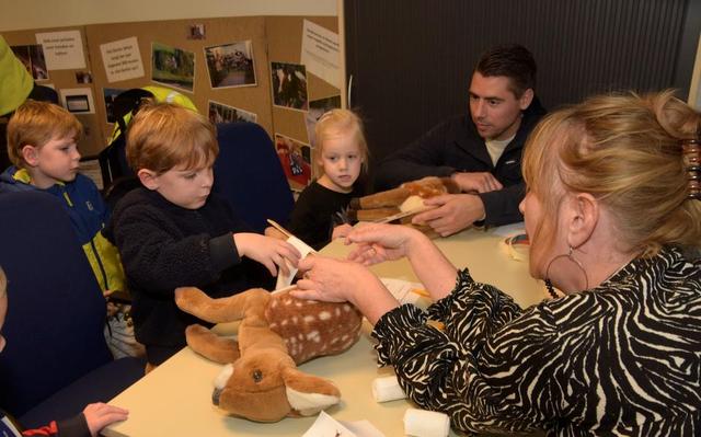 Spalk een pootje van een hert. Kinderen behalen een dierenambulancediploma