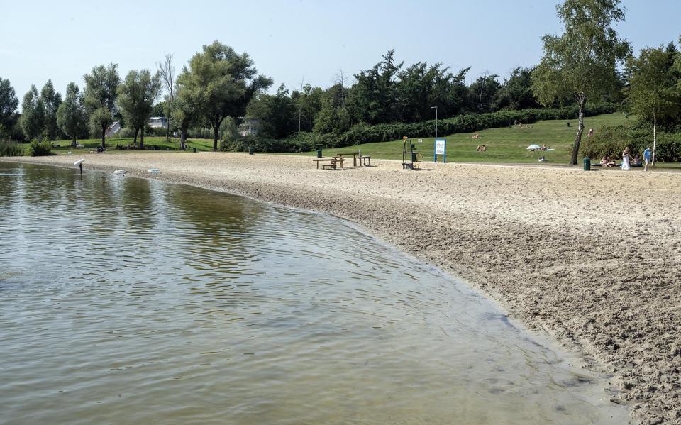 Het is vrijwel uitgestorven aan de stranden van de Grote en Kleine Rietplas in Emmen, door de aanwezigheid van blauwalg.
