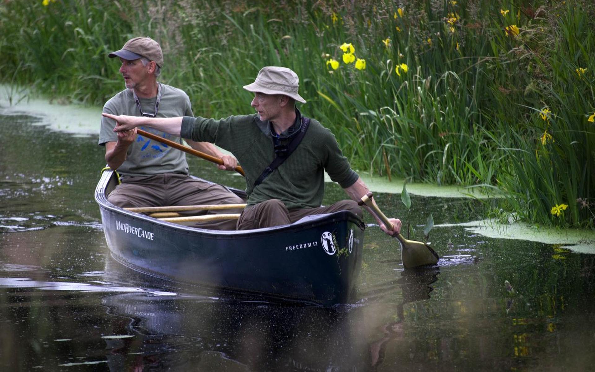 Zoektocht naar de otterweesjes - Dagblad van het Noorden - Dagblad van het Noorden