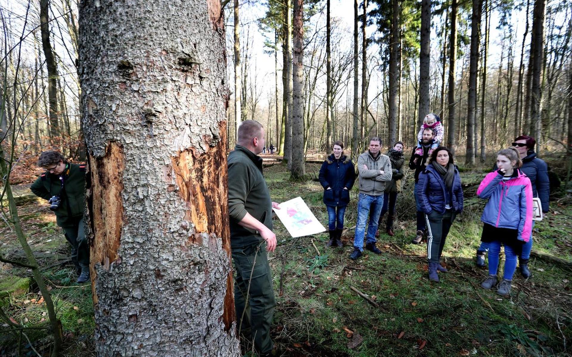 Boswachters vrezen storm Dennis: Bos- en Houtdag in Drouwen geannuleerd