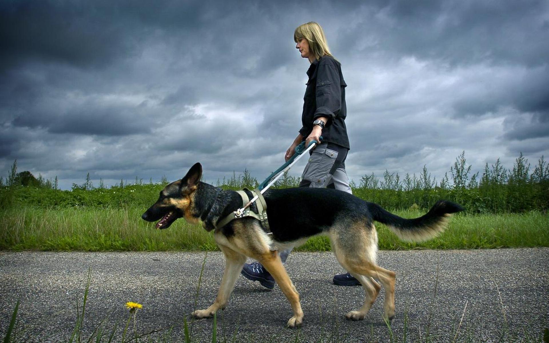Twee honden krijgen studiebeurs dankzij oude doppen uit Donderen
