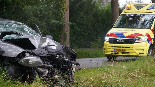 Aantal aanrijdingen met reeën stijgt fors in Drenthe. Hoe komt dat? ‘Een omstander zei dat ik enorm 