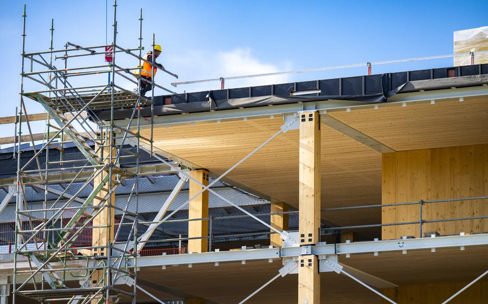 Dankzij de houten constructie kunnen de medewerkers van de RVO straks ook tijdens een hittegolf het hoofd koel houden.