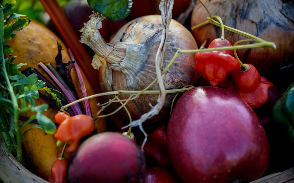 BioNoord is een belangrijke schakel tussen biologische boeren en winkeliers in Noord-Nederland.