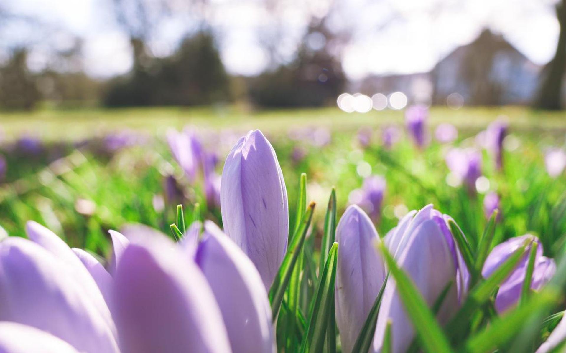 World’s second hottest March on record