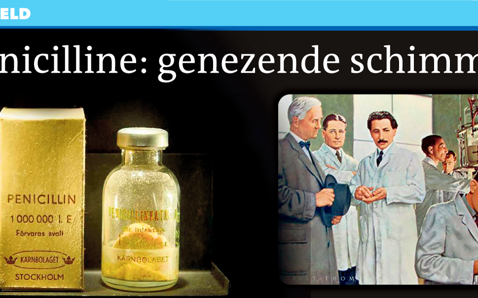 In beeld: Penicilline - Dagblad van het Noorden