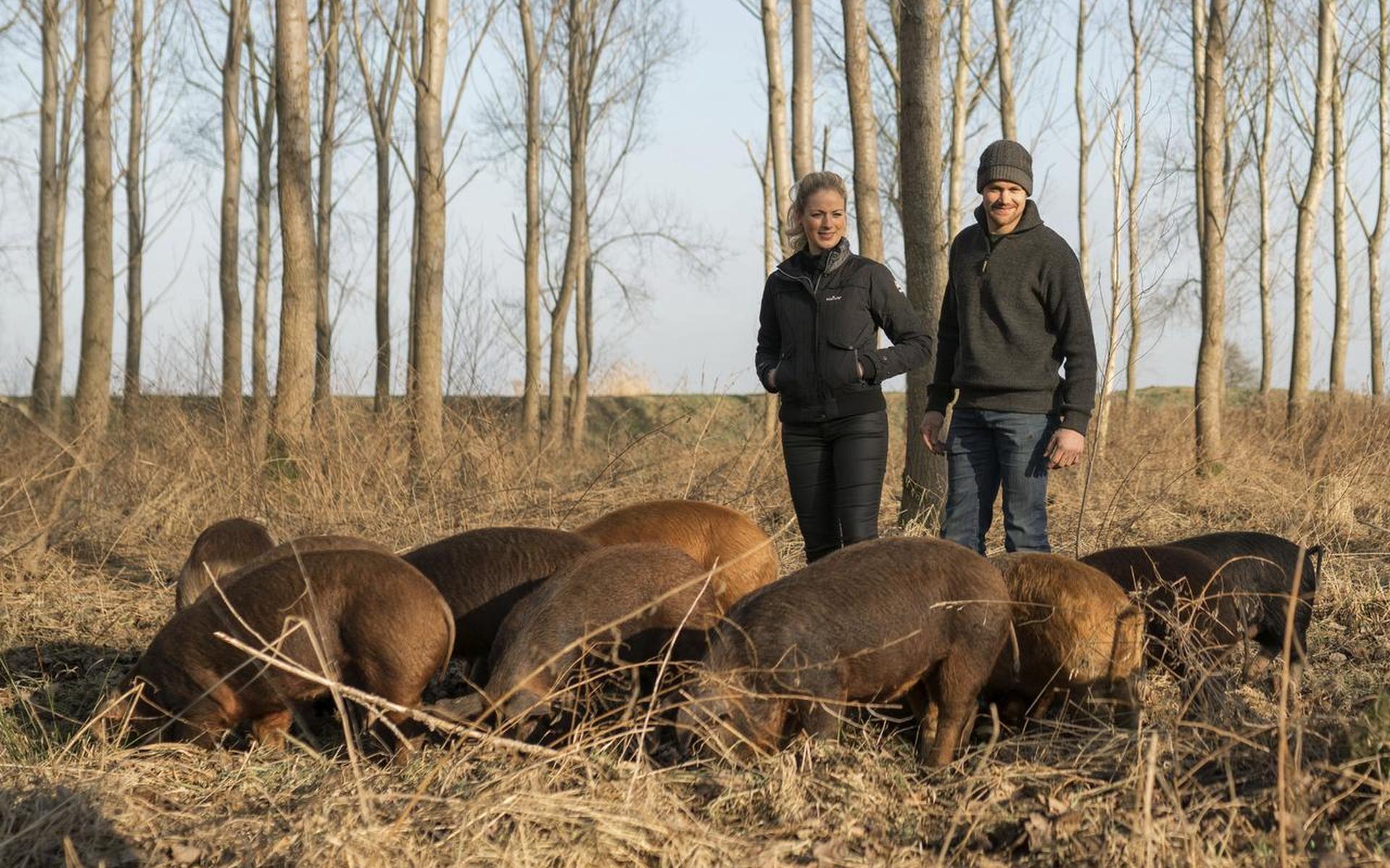 Gelukkig leven bij de scharrelboer - Dagblad van het Noorden - Dagblad van het Noorden