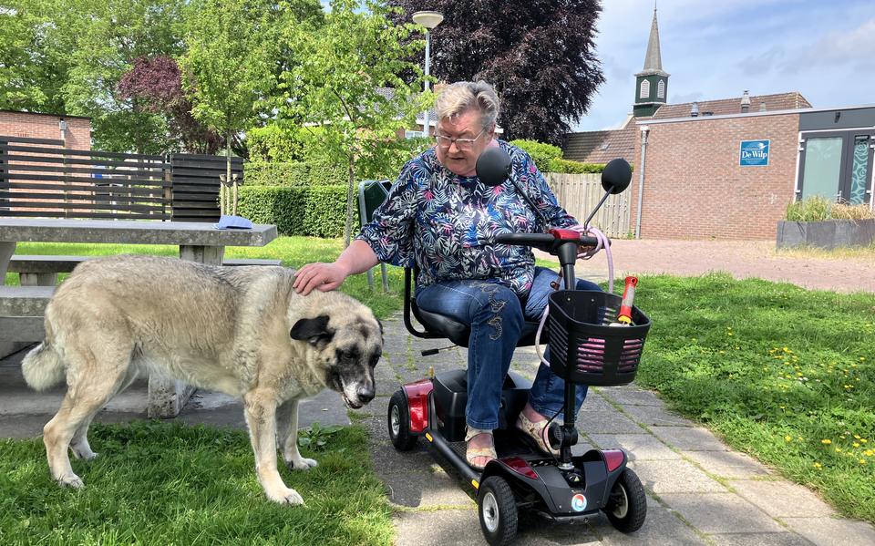 Anneke Brünner in het parkje in De Wilp met haar Turkse herder Cessey. ,,Ik word altijd zo triest van die protesten tegen asielzoekers." 