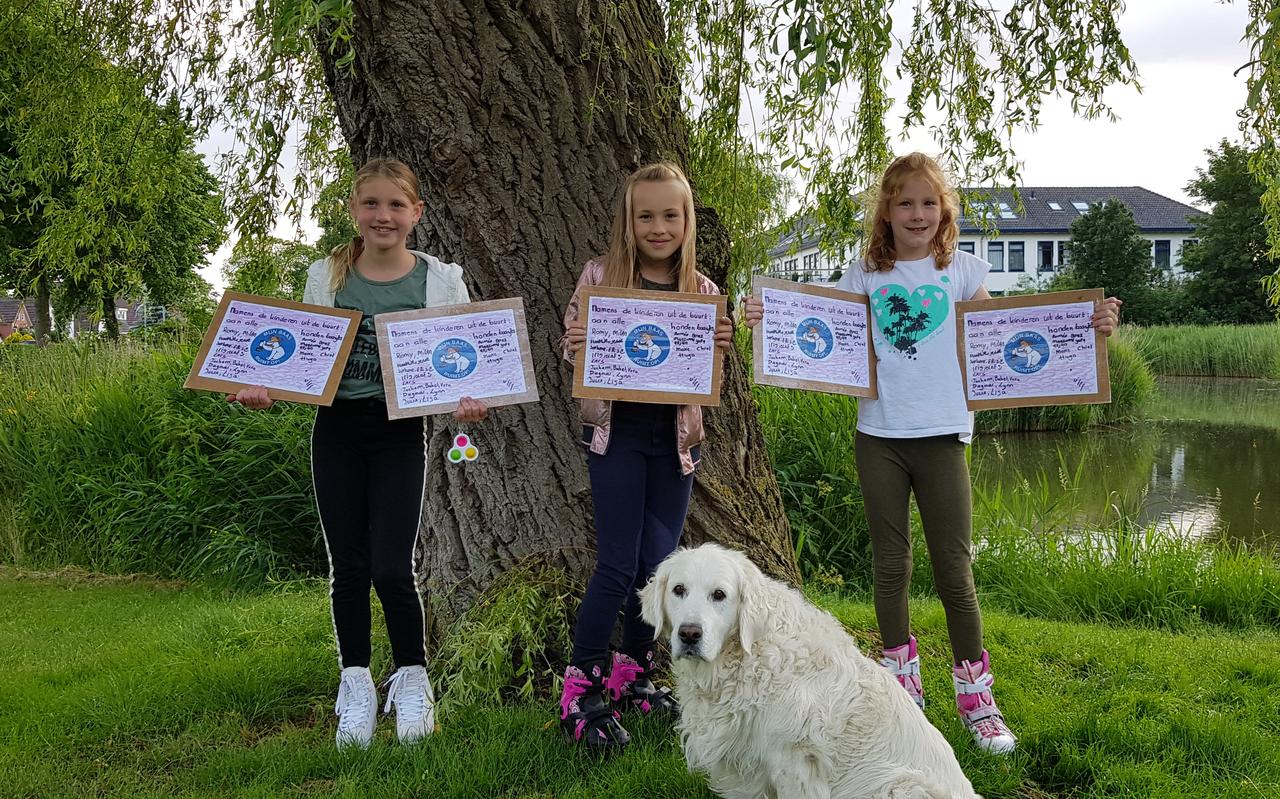 Kinderen uit Appingedam hopen dat hondeneigenaren hun verantwoordelijkheid nemen zodat ze op gras zonder poep kunnen spelen. Foto: Eddie Dijk. Kinderen uit Appingedam hopen dat hondeneigenaren hun verantwoordelijkheid nemen zodat ze op gras zonder poep kunnen spelen. Foto: Eddie Dijk.