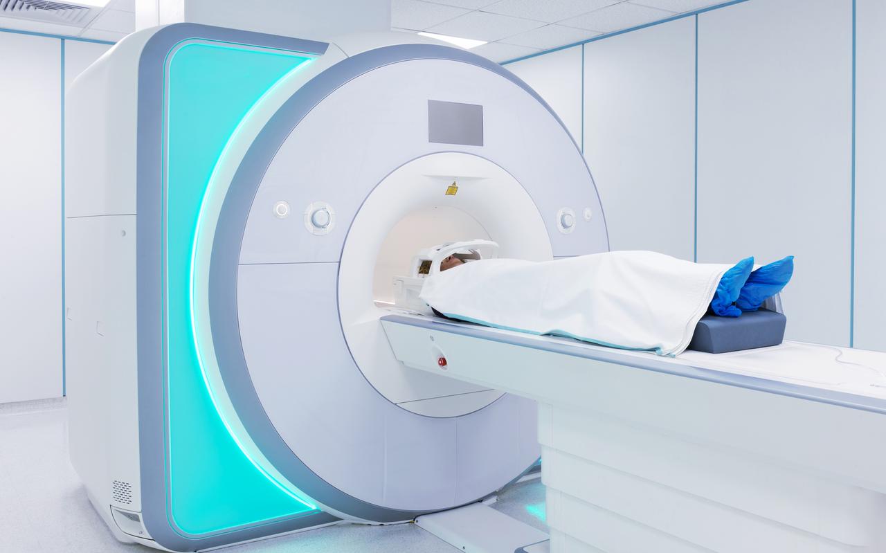 Foto: Shutterstock. Foto: Shutterstock.