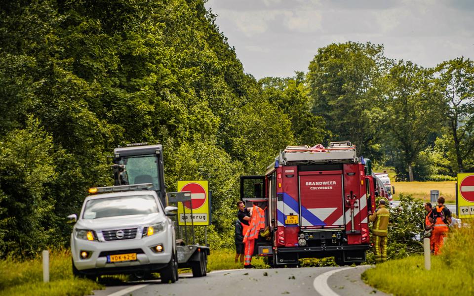 Boom op afrit N34 bij Coevorden.